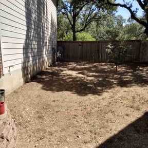 Leaf Removal by Vertical Lawn Care reviewed on August 15, 2025