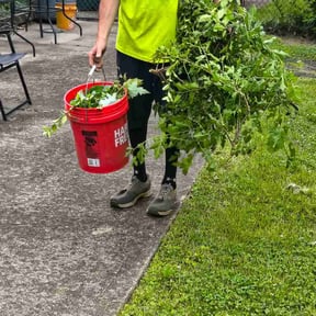 Bush Trimming by Hanson Lawn Care reviewed on May 22, 2026
