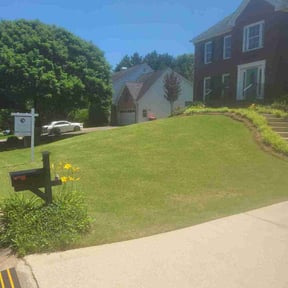 yard service by Brothers Martinez reviewed on August 17, 2025