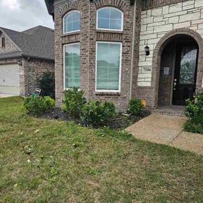 Bush Trimming by Back Creek Property Services reviewed on April 25, 2026