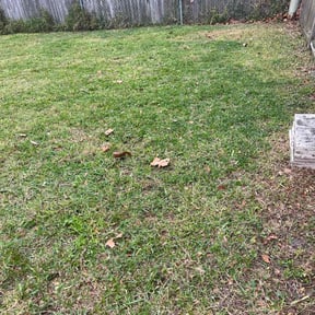 Leaf Removal by Clean Cuts Lawn Service &amp; Design reviewed on September 30, 2025