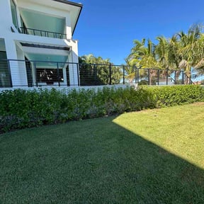 Bush Trimming by Joseph Fullner reviewed on November 20, 2025