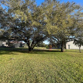 grass cutting by Jte lawncare reviewed on July 6, 2025