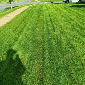 gardening service by Inside and out property maintenance reviewed on August 19, 2025