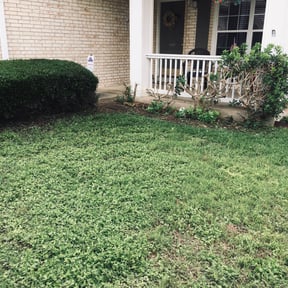 Bush Trimming by Green Earth Lawn and snow LLC reviewed on August 20, 2025