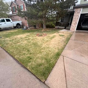 Leaf Removal by TG Contractors LLC reviewed on April 24, 2026