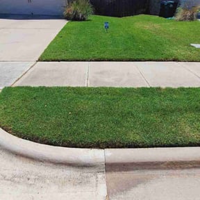 landscape maintenance by Go-To Lawn Care reviewed on November 18, 2025