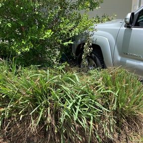 Bush Trimming by Armstrong.lawnmoweing reviewed on August 18, 2025