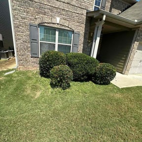 Bush Trimming by Rodriguez Lawn Care LLC reviewed on December 22, 2025