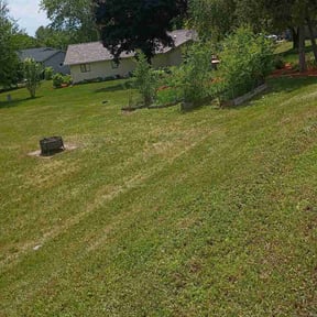 Flower Bed Weeding by IMPAKT Lawn Solutions reviewed on May 31, 2026