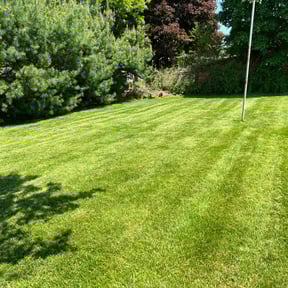 residential landscaping by Chris Wimler reviewed on January 8, 2026