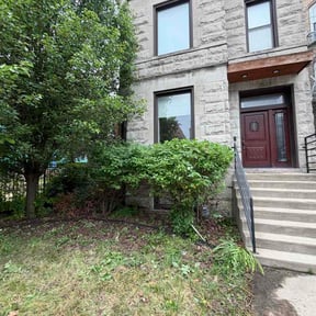 Bush Trimming by DMH Properties LLC reviewed on June 6, 2026