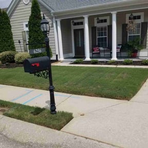 lawn service by Ricos Landscaping &lawn care reviewed on May 2, 2025