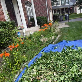 Bush Trimming by Lawncare Recovery and landscape LLC reviewed on June 10, 2026