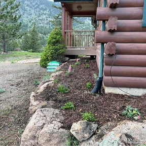 Flower Planting by  reviewed on June 28, 2025