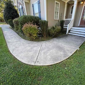 Bush Trimming by Andy's Lawn Services reviewed on November 8, 2025