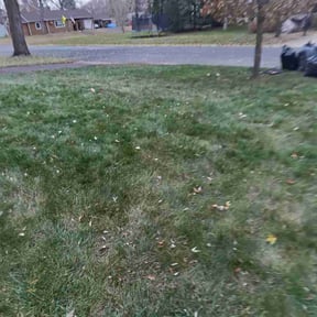 Leaf Removal by Yanez Brothers Landscaping reviewed on December 1, 2025