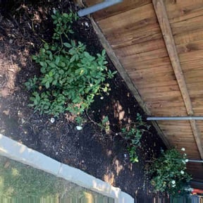 Flower Bed Weeding by Kjc General Contracting Llc reviewed on November 24, 2025