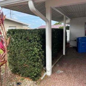 Bush Trimming by Athena's Lawn Solutions reviewed on March 29, 2026