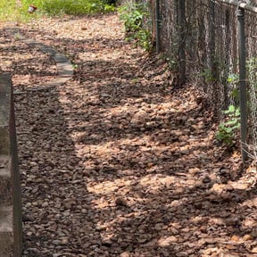 Leaf Removal by STACEY&#039;S LAWN MAINTENANCE &amp;
PRESSURE WASHING SERVICES LLC reviewed on September 16, 2025