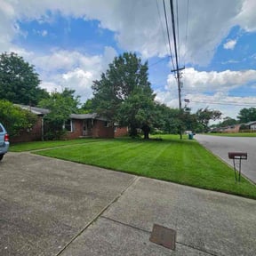 turf maintenance by M D CUSTOM SERVICE SOLUTIONS reviewed on May 10, 2024