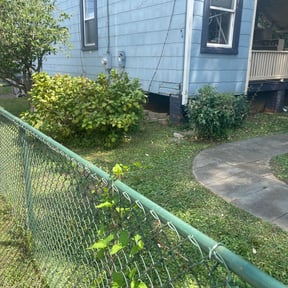 Bush Trimming by Top Turf L.L.C reviewed on August 17, 2025