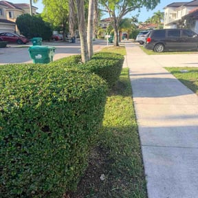Bush Trimming by A1 Cuts reviewed on May 14, 2026