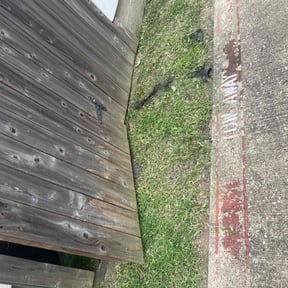 Bush Trimming by Lawn Care Rx reviewed on November 19, 2025