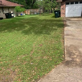 Leaf Removal by Johnson Landscaping LLC. reviewed on September 7, 2025