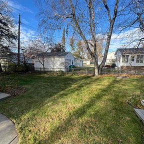 Leaf Removal by mazariegos Lawn Care and Landscaping reviewed on November 20, 2025