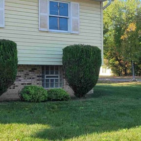 Bush Trimming by Atkinson handy service reviewed on April 21, 2026