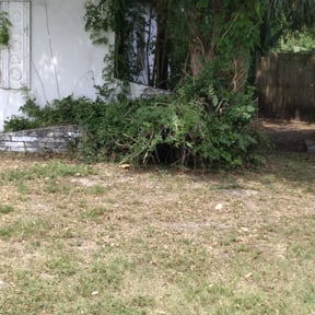 Bush Trimming by Green Guy Landscaping LLC reviewed on August 3, 2023