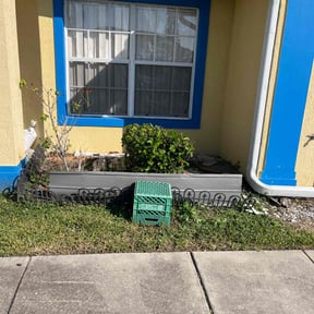 Bush Trimming by YNM reviewed on November 10, 2025