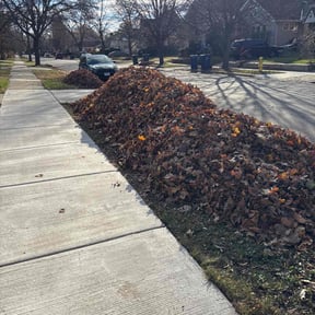 Leaf Removal by Nunez landscaping and construction reviewed on December 3, 2025