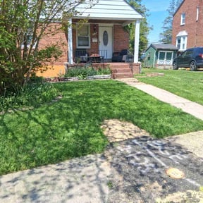 grass maintenance by B&amp;C  Green and Groomed reviewed on August 18, 2025