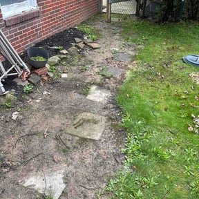 Leaf Removal by Skilled Handy Solutions reviewed on June 4, 2026