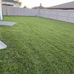 turf maintenance by K and E Naturals LLC reviewed on June 22, 2023