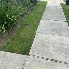Bush Trimming by AC LAWNCARE reviewed on August 21, 2025