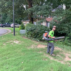 Bush Trimming by National Property Maintenance reviewed on August 17, 2025