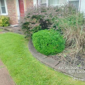 Flower Bed Weeding by RWB LAWN reviewed on July 2, 2026