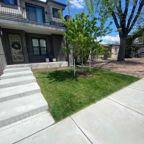 landscaping services by Nathaniel  Wright reviewed on November 24, 2025