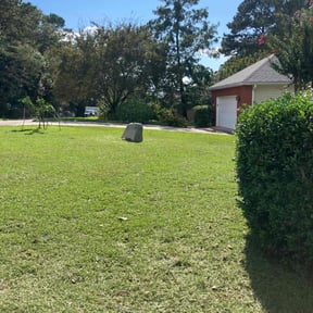 landscaping by Curry's Lawn Serviiyo yce dbunni ok reviewed on November 24, 2025