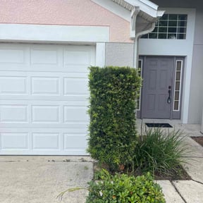 Bush Trimming by All Four Seasons reviewed on November 23, 2025