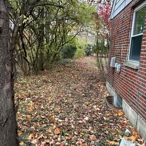 Bush Trimming by Constant blue pools and lawn care reviewed on November 22, 2025