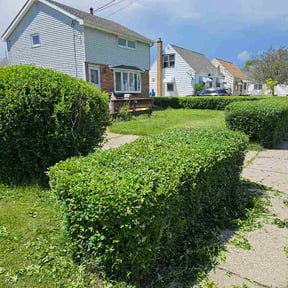 Bush Trimming by Fredscape reviewed on June 20, 2026
