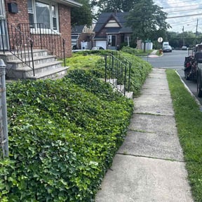 Bush Trimming by Keith Dalke reviewed on April 14, 2024