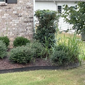 Bush Trimming by Legacy Lawn Care reviewed on October 19, 2025