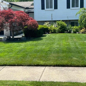 yard maintenance by Greenworks Lawn reviewed on August 19, 2025