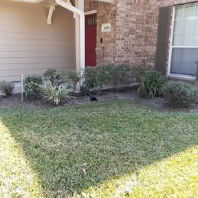 Flower Bed Weeding by Jewelry box ent reviewed on April 3, 2023