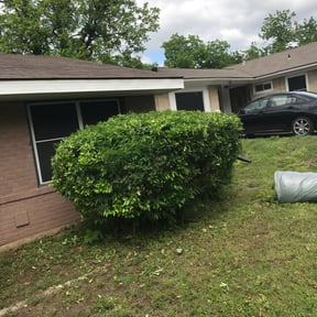 Bush Trimming by Precise Lines Lawn Care reviewed on August 15, 2025